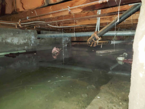 Best Water damage restoration process  in Conway Springs, KS