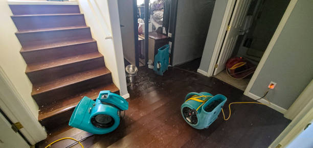 Best Carpet water damage restoration  in Conway Springs, KS