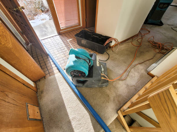 Best Local water damage restoration  in Conway Springs, KS