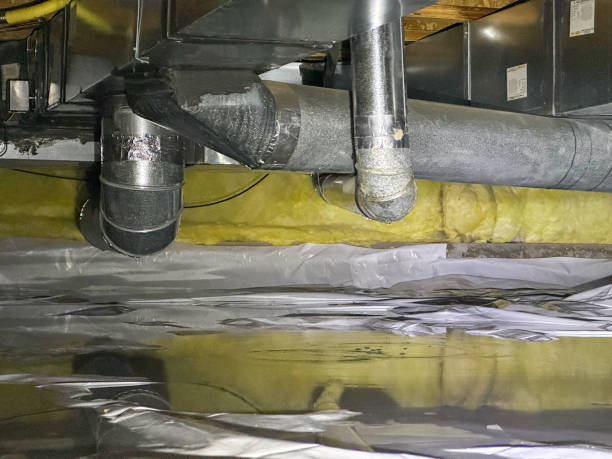 Best Flood damage cleanup  in Conway Springs, KS