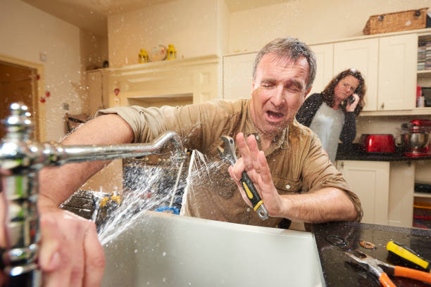 Best Mold removal after water damage  in Conway Springs, KS